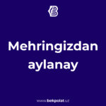 MEHRINGIZDAN AYLANAY