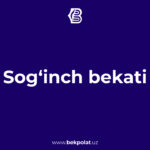 SOG‘INCH BEKATI