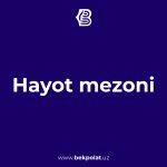 HAYOT MEZONI