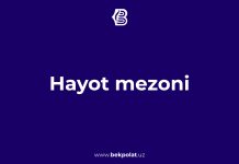HAYOT MEZONI