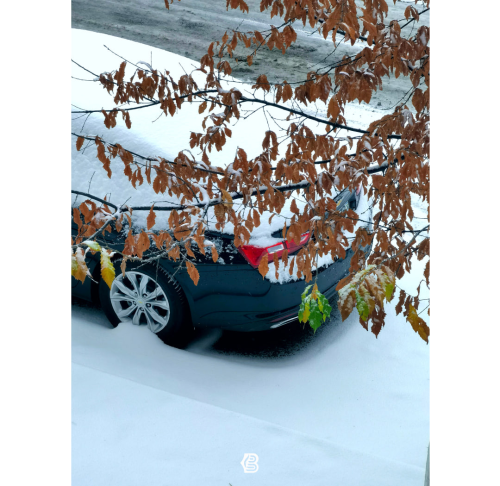 BBP-013.1-poster-14.12.2023