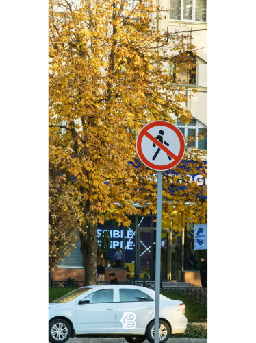 BBP-026-poster-25.11.2022